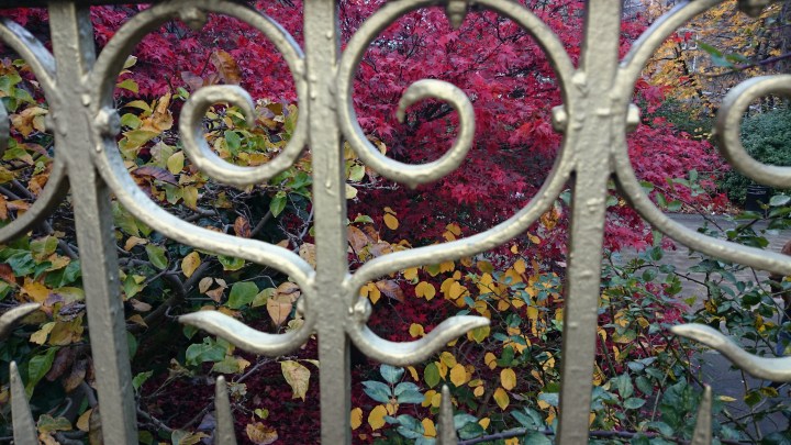 Autumn 3 November 2014